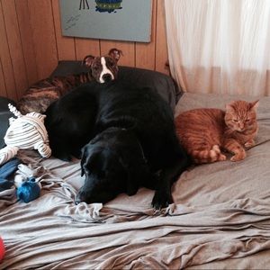 Meet your Posher, Danielle